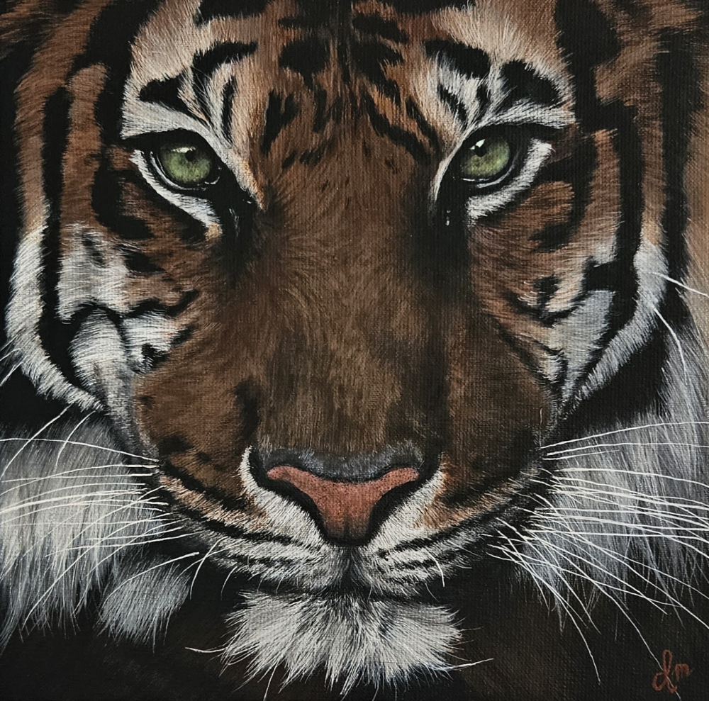 Eye of the Tiger